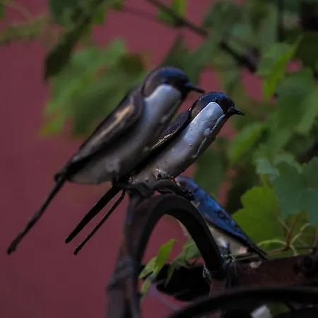 Les De La Weiss Nocleg ze śniadaniem Kaysersberg-Vignoble