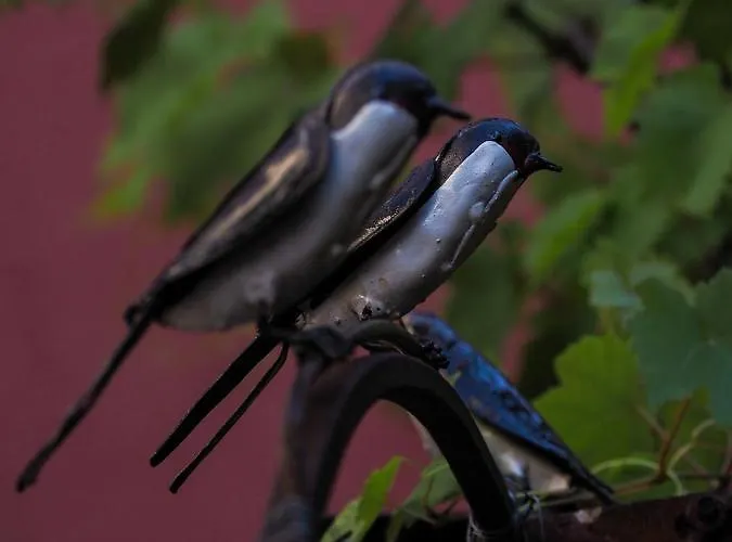 Les De La Weiss Bed & Breakfast Kaysersberg-Vignoble